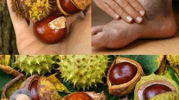 Guava and Mint: Your Key to Healthier Gums