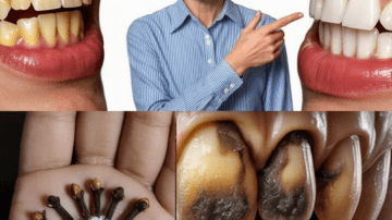 Avocado Seed Tea: Unlock Amazing Health Benefits
