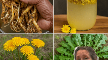 Unlock Corn Silk’s Power: Transform Your Health