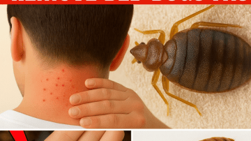 Banish Garden Bedbugs in Minutes with Salt!