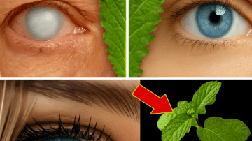 Unlock the Hidden Power of Wild Lettuce Sap