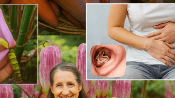 12 Kidney-Damaging Foods You Might Be Eating Daily