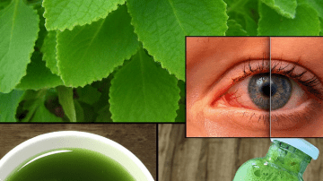 12 Kidney-Damaging Foods You Might Be Eating Daily