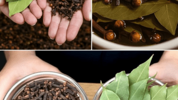 Habits Harming Your Kidneys You Should Know