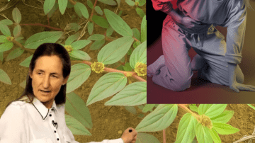 Habits Harming Your Kidneys You Should Know