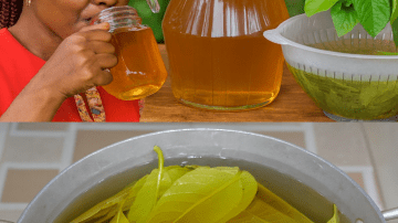 10 Astonishing Uses of Guava Leaves for Health & Beauty