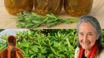 Revitalize Your Body Naturally with Mandarins