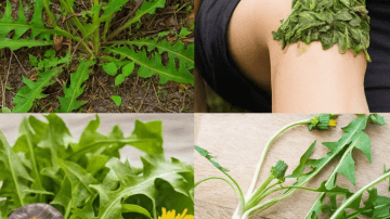 Cloves and Vaseline: A Secret Beauty Hack You’ll Wish You Knew