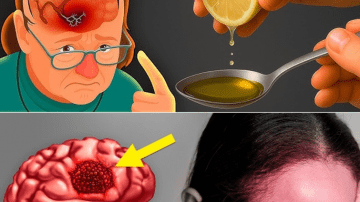 Over 60? Drink These 3 Teas to Rebuild Muscle and Walk Strong AgainSenior Health Tips