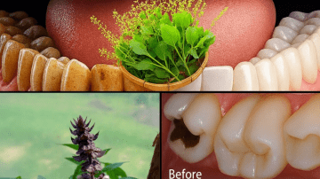Over 50? Avoid These 10 Garlic Mistakes