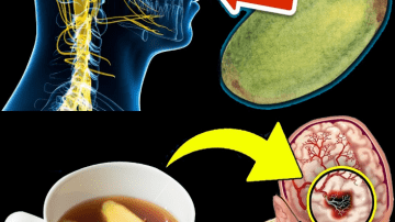 Sip This to Boost Knee Cartilage Health