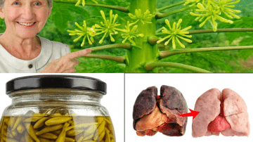 Unlock Vitality with Coffee and Lemon Magic