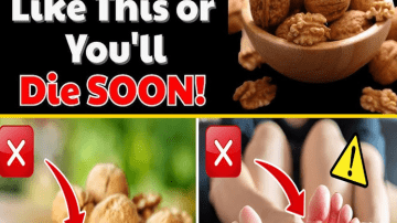 Lower Creatinine Naturally: 5 Fruits for Kidney Health