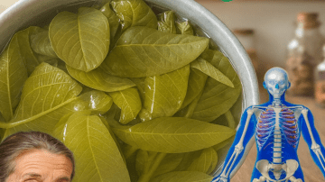 Bull Thistle Root: Transform Your Health Naturally