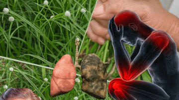 Unlock Papaya Seeds’ Power for Vibrant Health