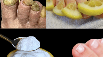 Unlock Papaya Seeds’ Power for Vibrant Health