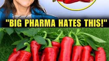 Unlock Papaya Seeds’ Power for Vibrant Health