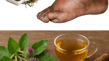 12 Potent Uses of Oregano Orejón for Health and Vision