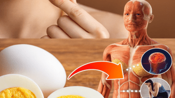 12 Potent Uses of Oregano Orejón for Health and Vision