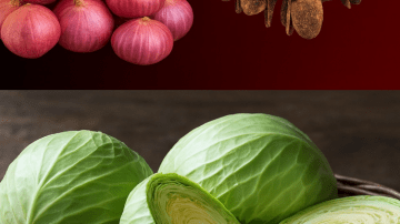 Miracle Leaf: Kalanchoe Pinnata’s Hidden Health Secrets Unveiled