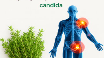 Moringa Powder: 10 Shocking Benefits You Won’t Believe..!