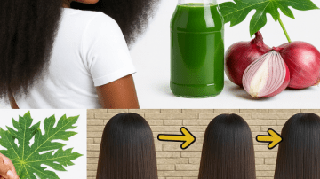 Moringa Powder: 10 Shocking Benefits You Won’t Believe..!