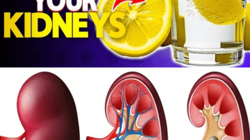 How To Get Rid of Nail Fungus Using Garlic: What You Need to Know