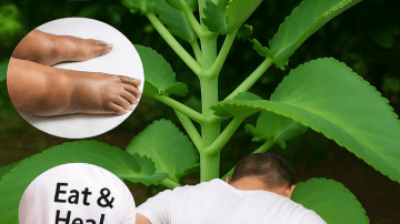 Drink This for 13 Days and Watch Your Body Transform: The Avocado Seed, Clove, and Hibiscus Shake