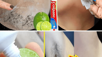 Can Guava Leaves Save Your Smile? The Natural Secret to Fighting Tooth Decay