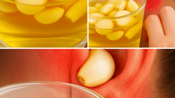 10 Surprising Benefits of Guava Leaf Tea for Your Health