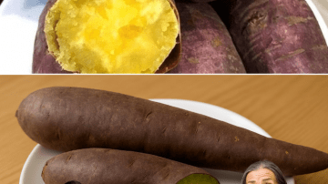 11 Life-Changing Benefits of Miracle Leaf