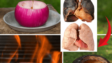The Stone-Breaking Herb That May Boost Your Wellness Naturally