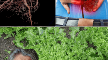 The Only Natural Boost You’ll Notice Faster Than You Think: Onion Juice for Hair Growth