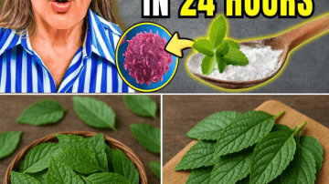 DENTISTS HATE THIS: The 7-Day Natural Routine That Could Help Stop Tooth Decay — Inspired by Barbara O’Neill