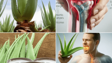 DENTISTS HATE THIS: The 7-Day Natural Routine That Could Help Stop Tooth Decay — Inspired by Barbara O’Neill