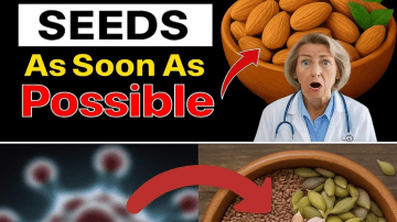 Boost Your Day: 7 Vibrant Smoothie Recipes