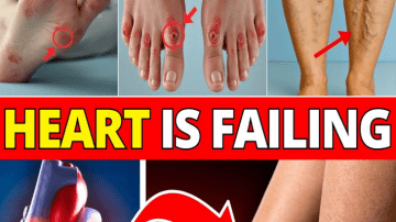 Seniors: Eat This Food to Boost Leg Strength Fast