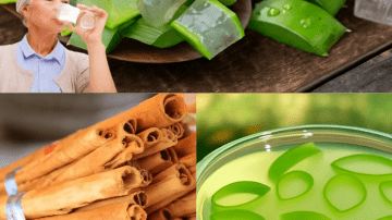 The 5-Ingredient Tea Revolution Every Woman Needs