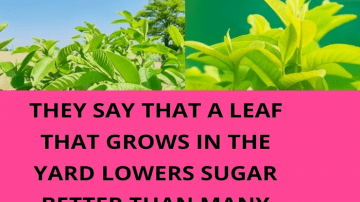 Ignite Romance with an Okra Love Tonic