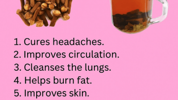 14 Gentle Moringa Leaf Benefits You’ll Rarely Hear From Your Doctor (But Definitely Should Know)