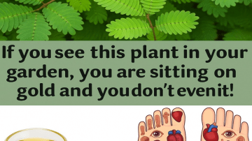 Boost Your Day: 7 Vibrant Smoothie Recipes