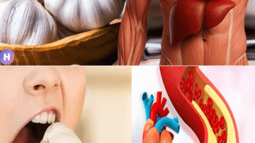 Boost Your Day: 7 Vibrant Smoothie Recipes