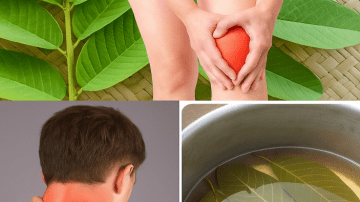 Boost Your Day: 7 Vibrant Smoothie Recipes