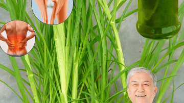 9 Natural Herbs That Could Transform Your Vision Health