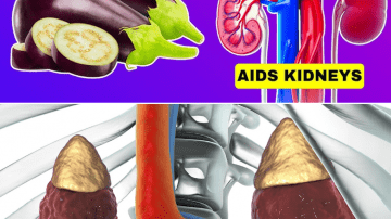 9 Natural Herbs That Could Transform Your Vision Health