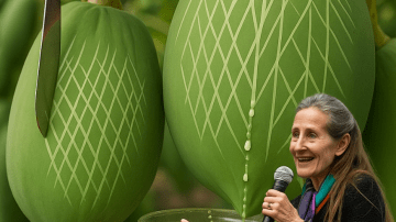 Discover Ginger’s Hidden Power to Rejuvenate Your Skin Naturally